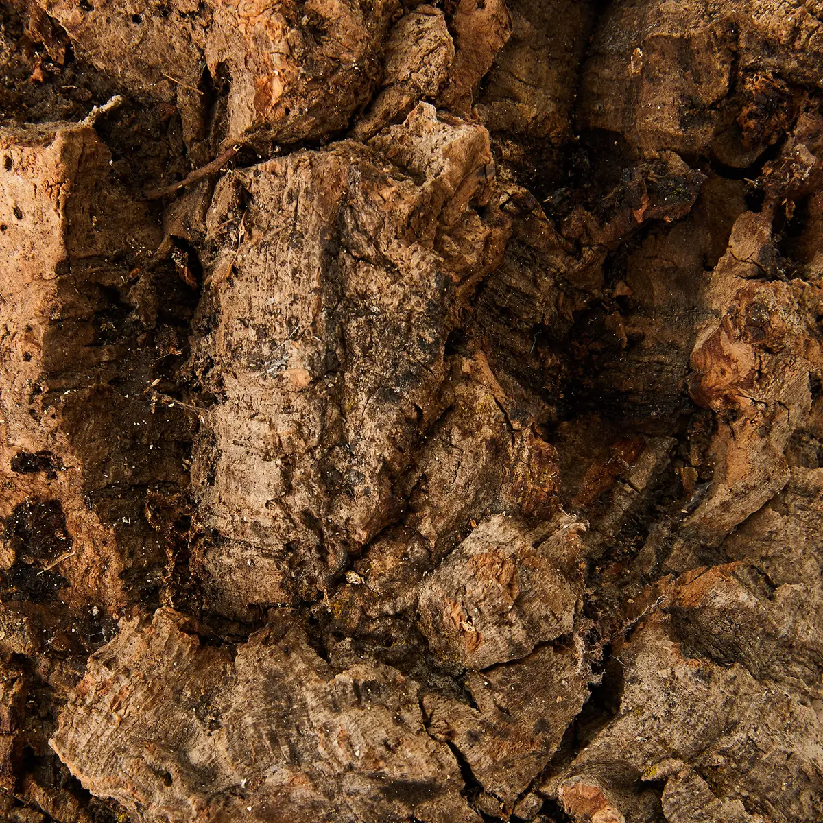Komodo Habitat Bark, Medium | Natural Cork Hideout for Reptiles in India - view 2