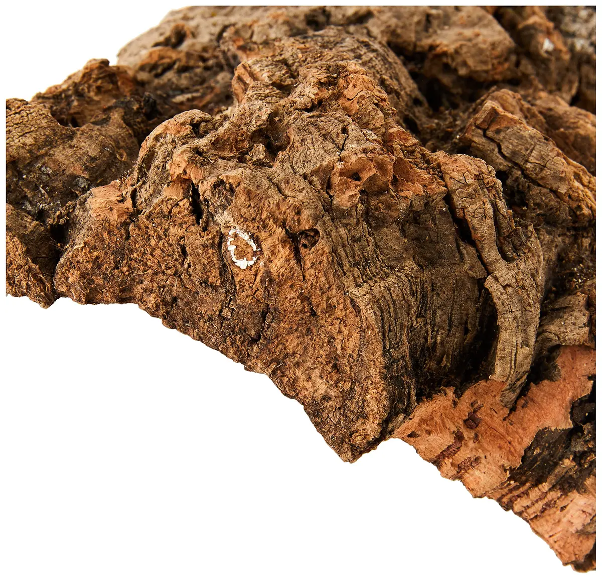Komodo Habitat Bark, Medium | Natural Cork Hideout for Reptiles in India - view 3