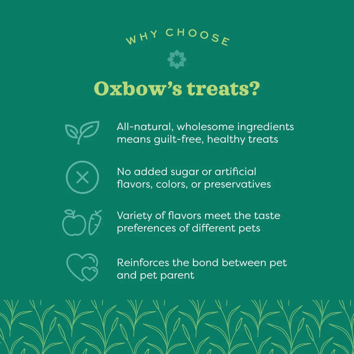 Oxbow Simple Rewards Veggie Treats for Small Animals 3 oz (85 g) | Wholesome Oven-Baked Goodness - view 2
