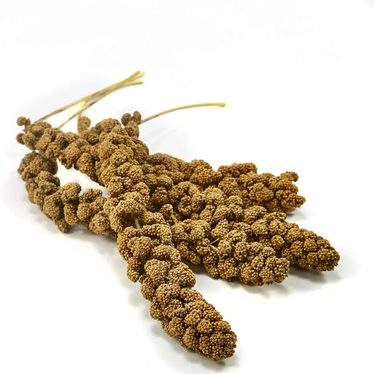 Kaytee Spray Millet 125 Count (5 lb) | Natural Bird Treat for Weaning and Playtime - view 2