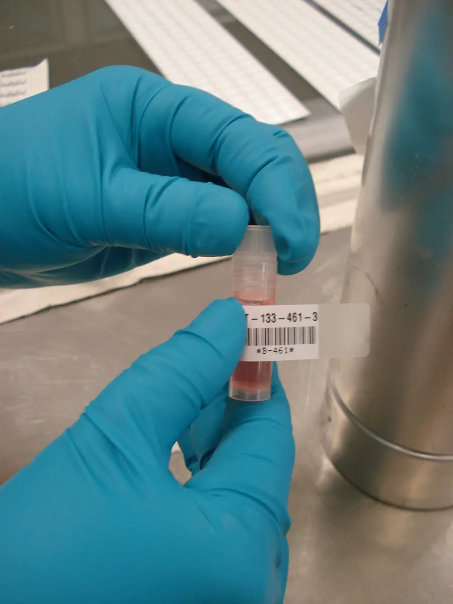Brady M21-375-461 Extreme-Temp Resistant Label 9.5mm (0.375") W x 6.4m (21' L) | Thermal Transfer Label for Lab, Equipment, Asset Tracking - view 2
