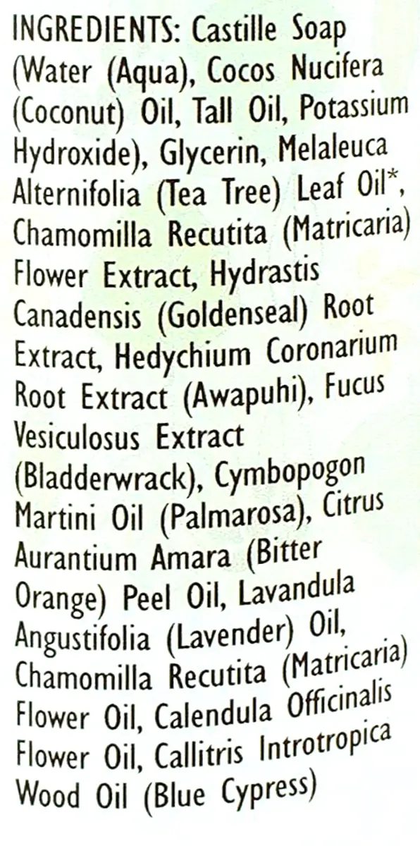 Trader Joe's Spa Face Wash with Tea Tree Oil 17 fl oz | Rejuvenating, Gentle & Refreshing - view 3