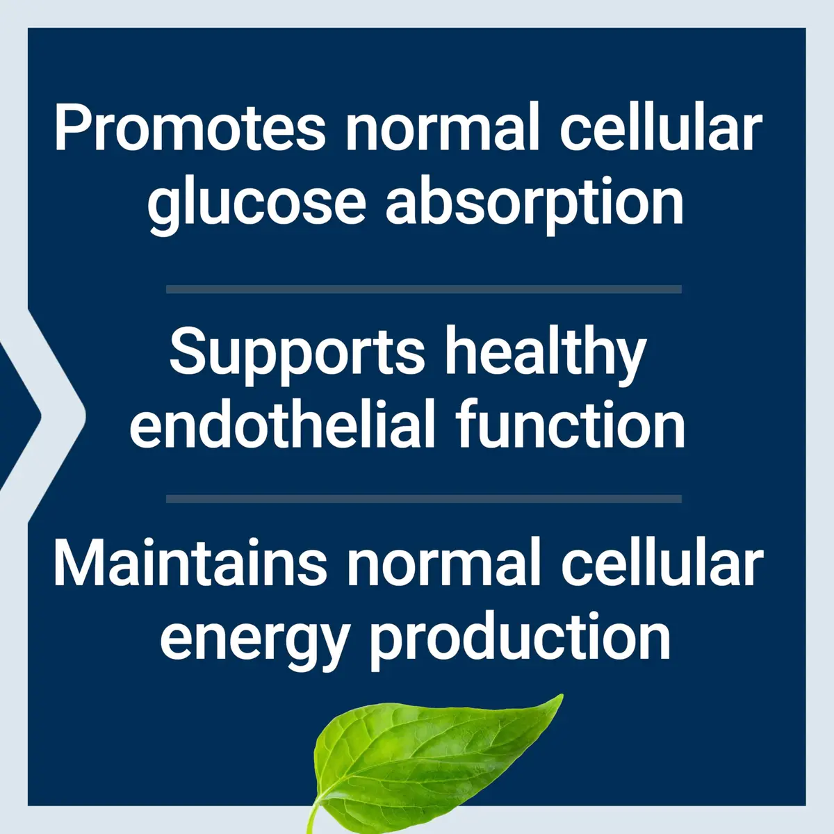 Life Extension Optimized Chromium with Crominex 3+, 500 mcg | Supports Healthy Metabolism & Weight Management - view 4
