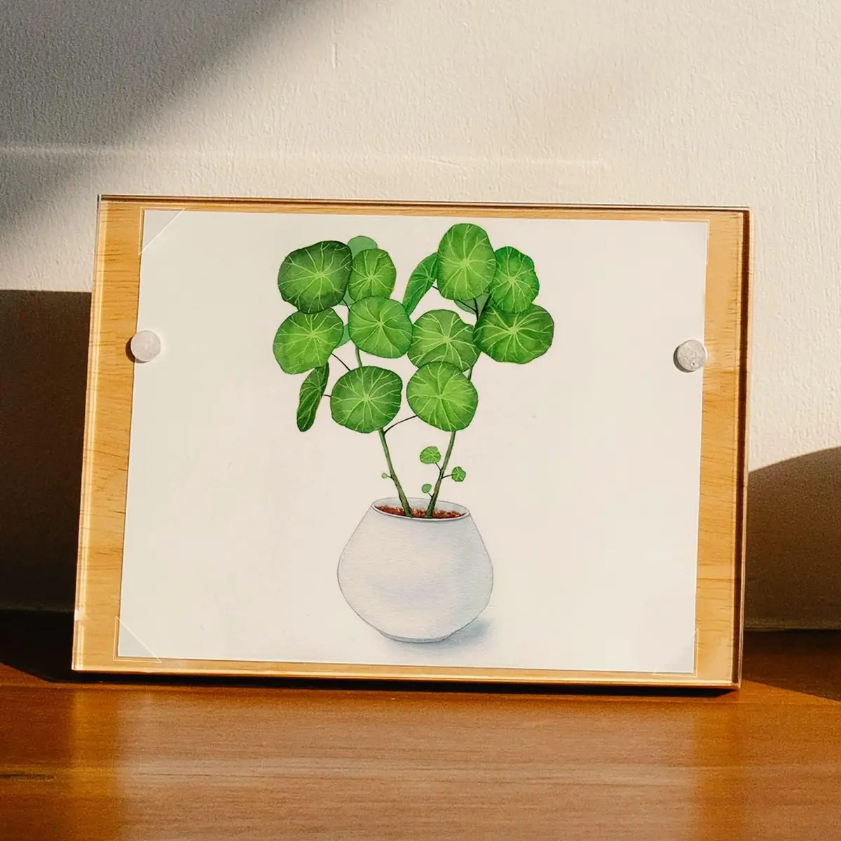 Lineco Infinity Clear Archival Photo Corners 500 PCS | Acid-Free, Non-Yellowing Adhesive - view 6