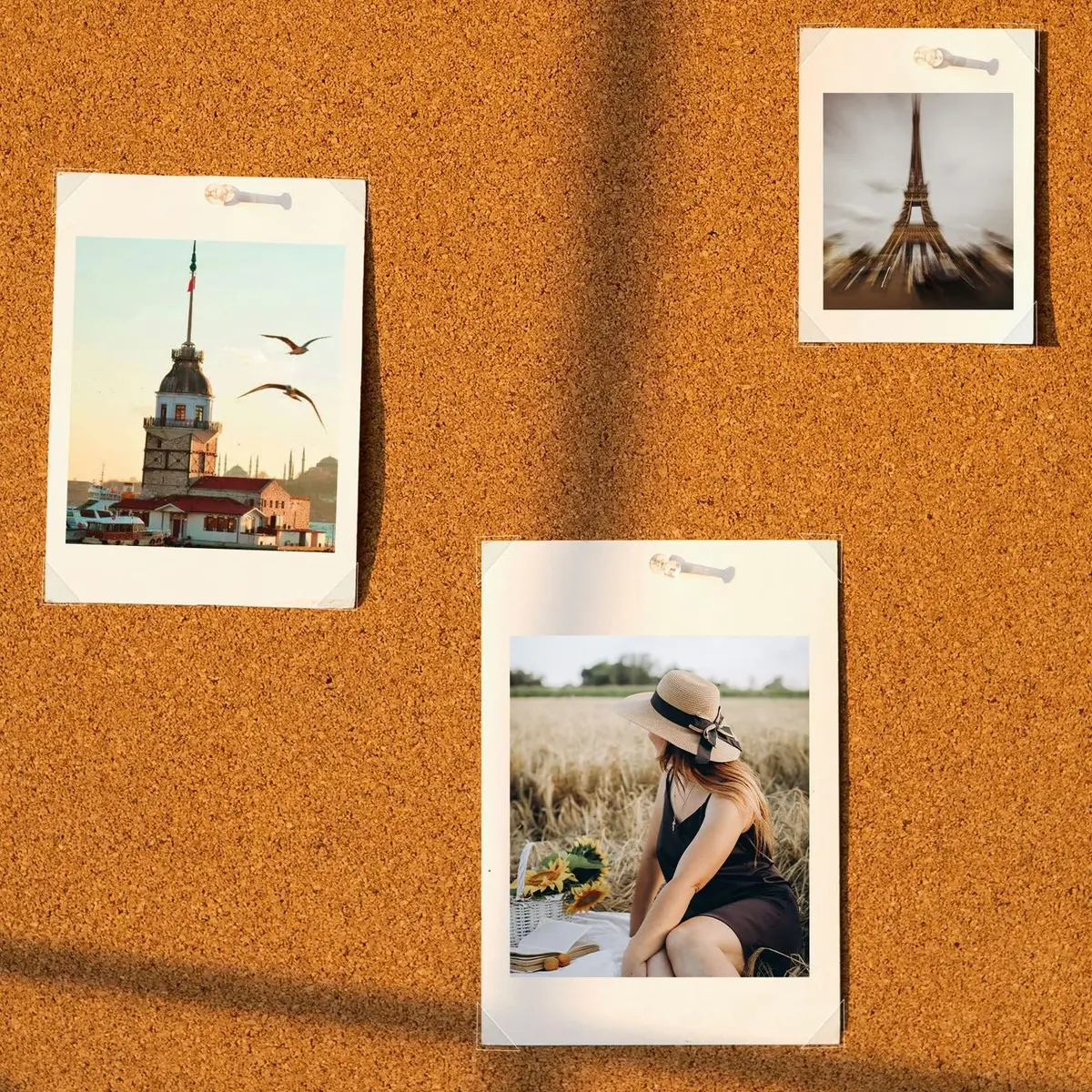 Lineco Infinity Clear Archival Photo Corners 500 PCS | Acid-Free, Non-Yellowing Adhesive - view 7