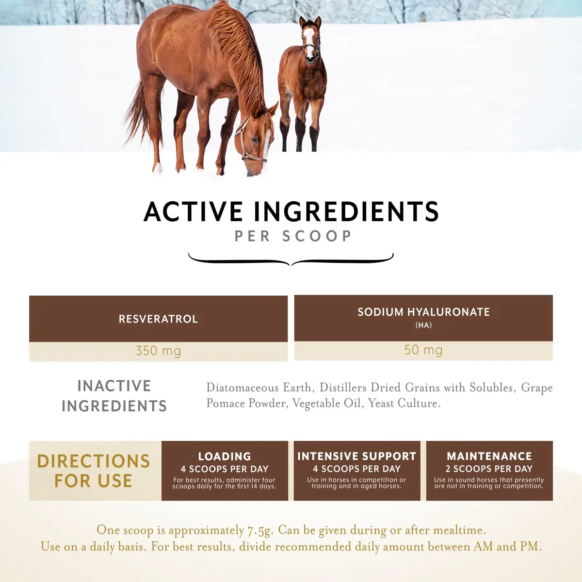Equithrive Original Joint Powder Horse Supplement, 2 lbs | Supports Soundness & Mobility - view 3