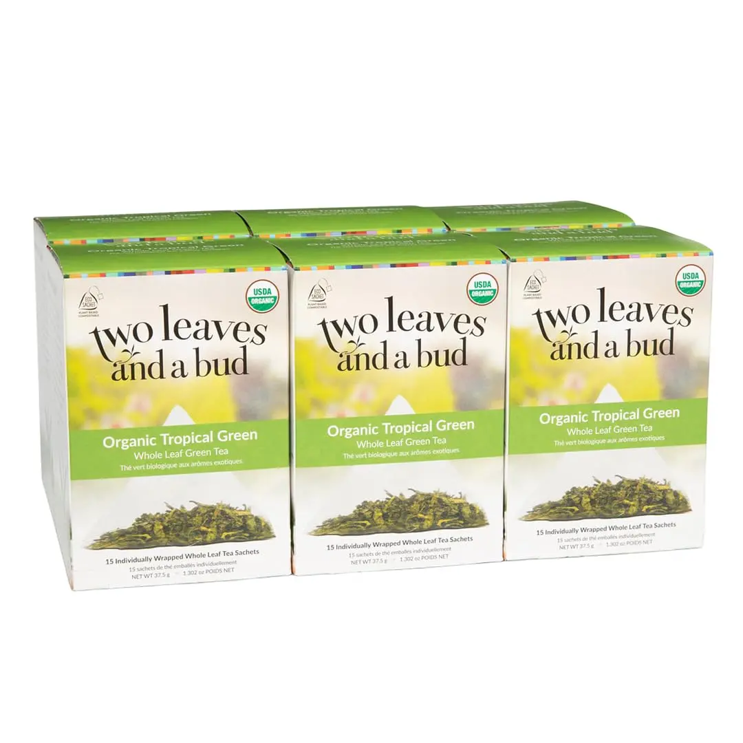 Two Leaves and a Bud Organic Tropical Green Tea Bags, 15 Count | Refreshing, Full Leaf Sencha in Eco-Pack - main product image