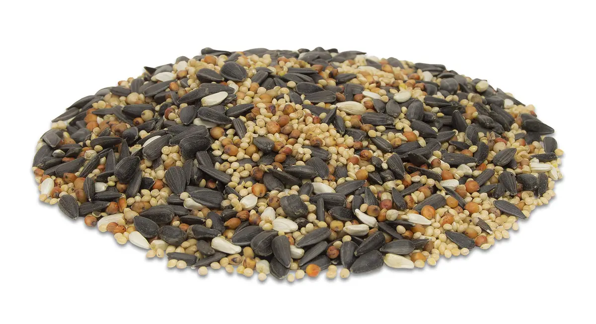 Morning Song Wild Bird Food 40 lb | Premium Seeds for Year-Round Feeding - view 2