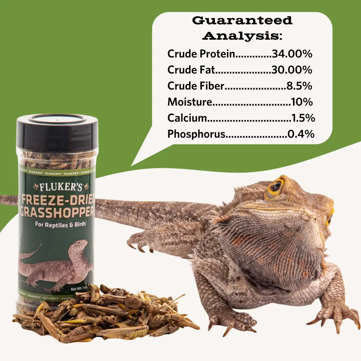 Fluker's Freeze Dried Grasshoppers 48g (1.7 oz) | Nutrient-Packed Reptile Food - view 2