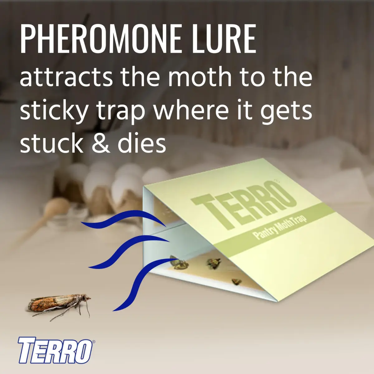 Terro Pantry Moth Traps - 2 Pack | Attracts & Traps Grain, Flour, Meal, Seed Moths - view 3