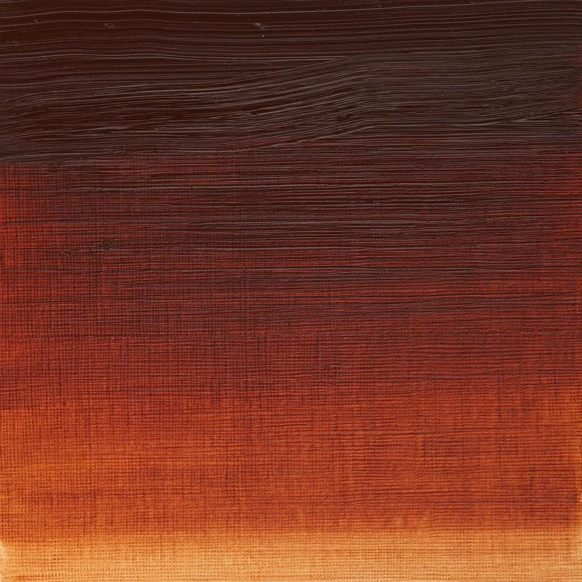 Winsor & Newton Artists' Oil Paint Burnt Sienna 200ml (6.76 Fl Oz) | ASTM D4236 Certified - view 2