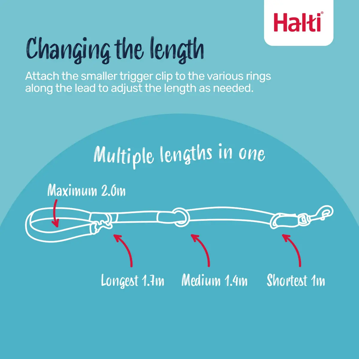 Halti Training Dog Leash | Small, Black | 2m Length | 7 Versatile Uses - view 2