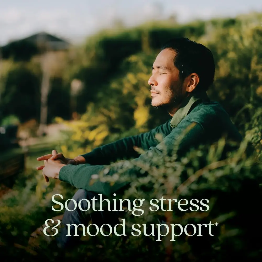 New Chapter Perfect Calm Stress Multivitamin 144 Count | Supports Mood & Stress, Fermented with Organic Botanicals - view 2