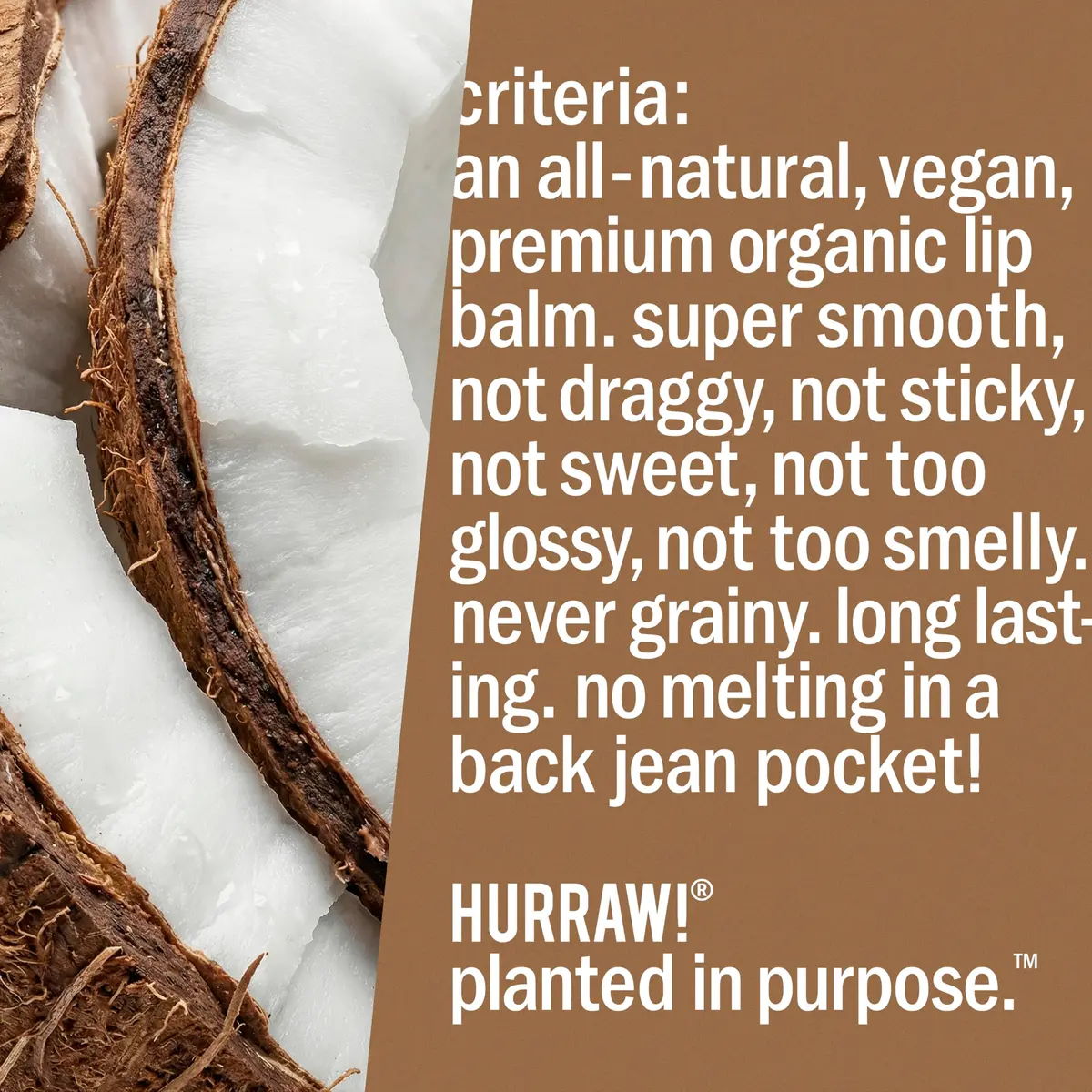 Hurraw! Coconut Lip Balm 4.8g | Organic, Vegan & Cruelty-Free, Made in USA - view 6