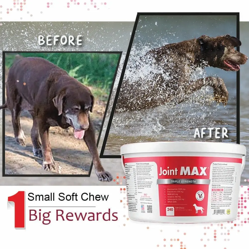 Joint Max Triple Strength Soft Chews for Dogs | Supports Joint & Cartilage Health in Aging & Active Dogs - view 6