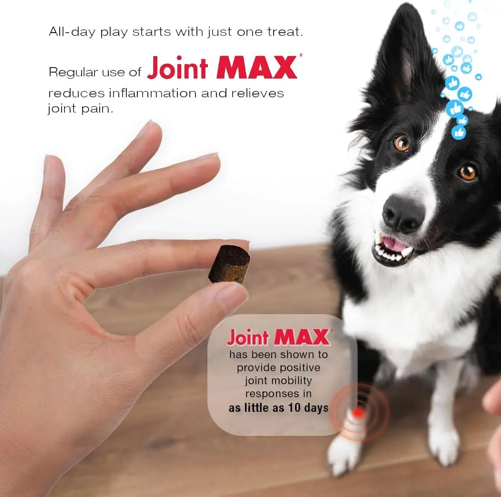 Joint Max Triple Strength Soft Chews for Dogs | Supports Joint & Cartilage Health in Aging & Active Dogs - view 2