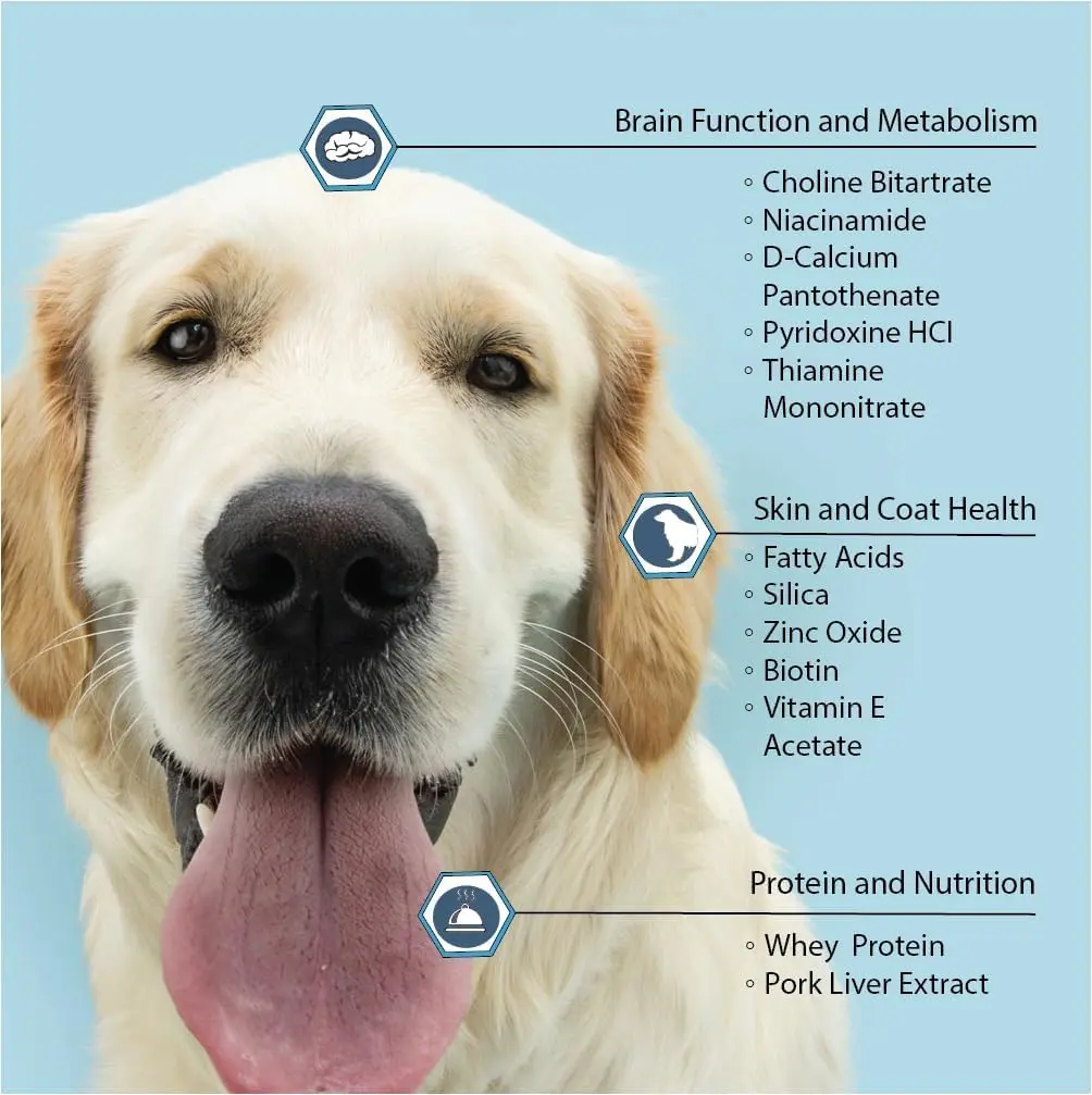 Vita-Tabs Multivitamin & Mineral Supplement for Dogs | Liver Flavored Chewable Tablets for Skin, Coat & Energy, 60 Chews - view 5