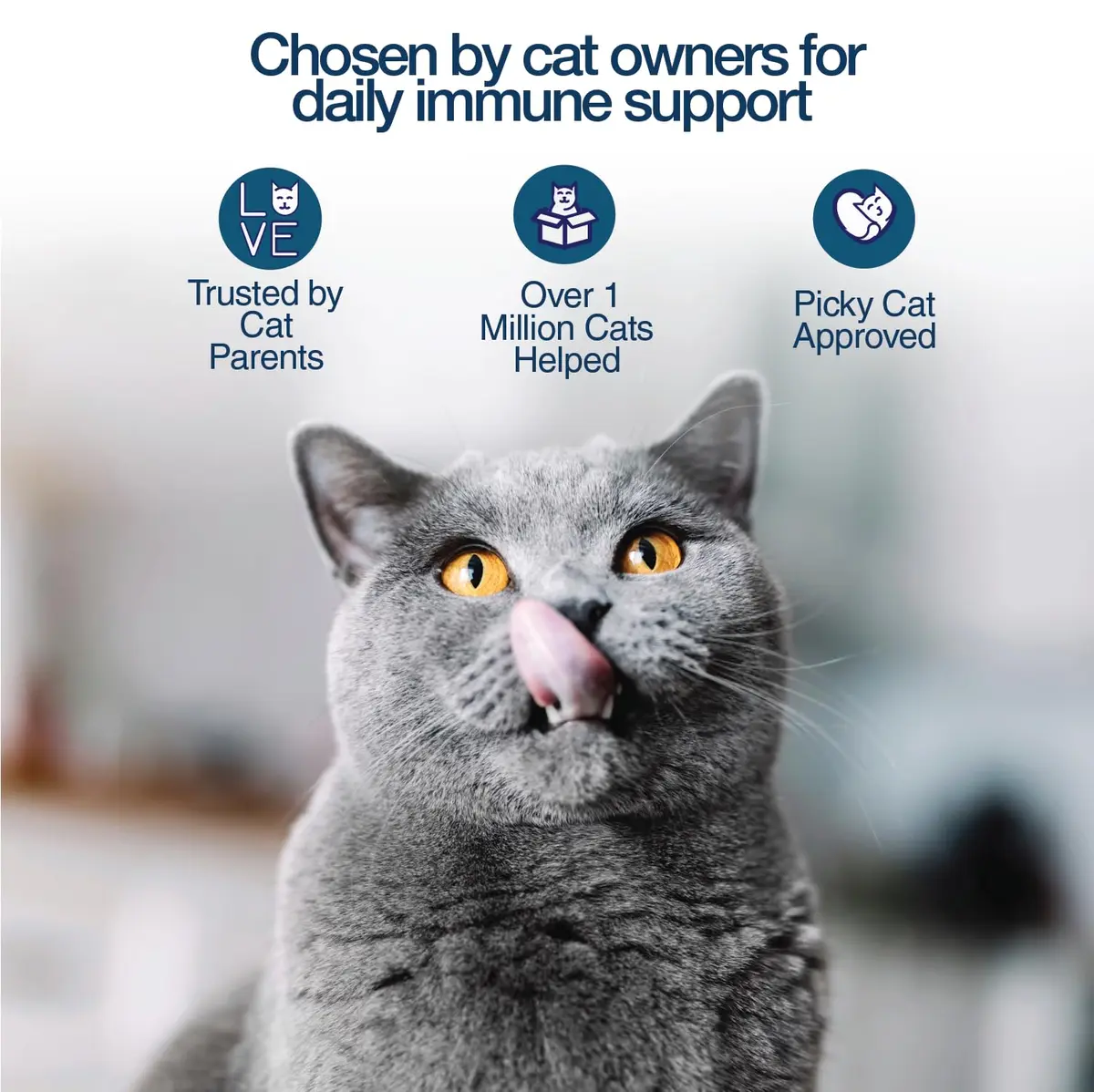 Pet Health Solutions Felisyl L-Lysine Granules for Cats 100g (3.5 oz) Supports Immune & Respiratory Health - view 3