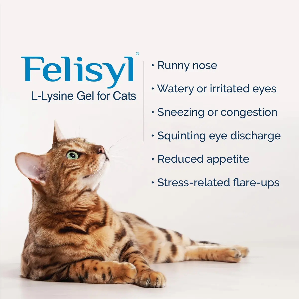 Pet Health Solutions Felisyl L-Lysine Granules for Cats 100g (3.5 oz) Supports Immune & Respiratory Health - view 4