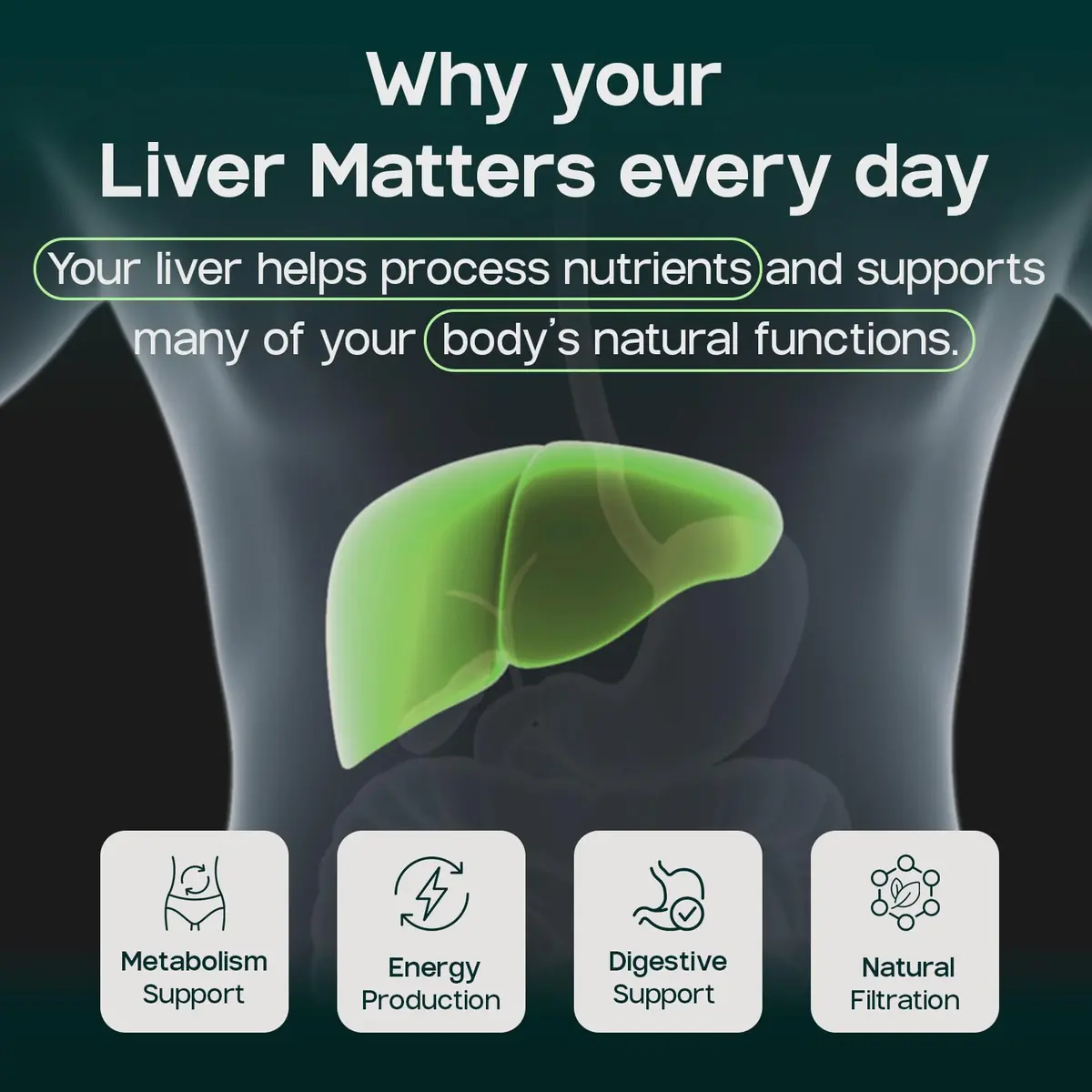 LIVERITE Liver Aid 2-Pack 150 Capsules | Supports Liver Function & Energy - view 6