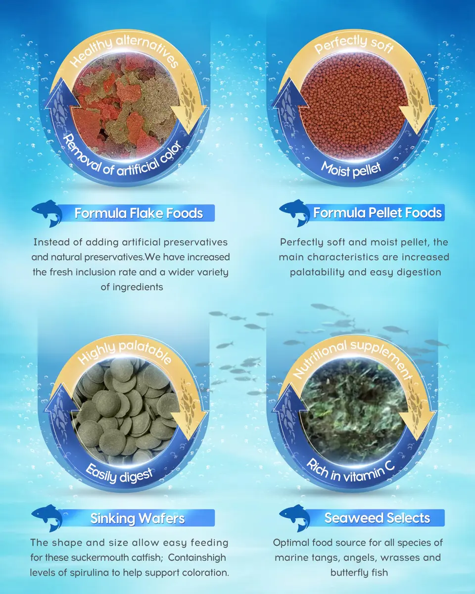 Ocean Nutrition Fish Feeder Seaweed Clips for Saltwater Fish | Aquarium Suction Cups, Holds Food Intact, Prolongs Feeding Process (1 Count, Pack of 36) - view 8