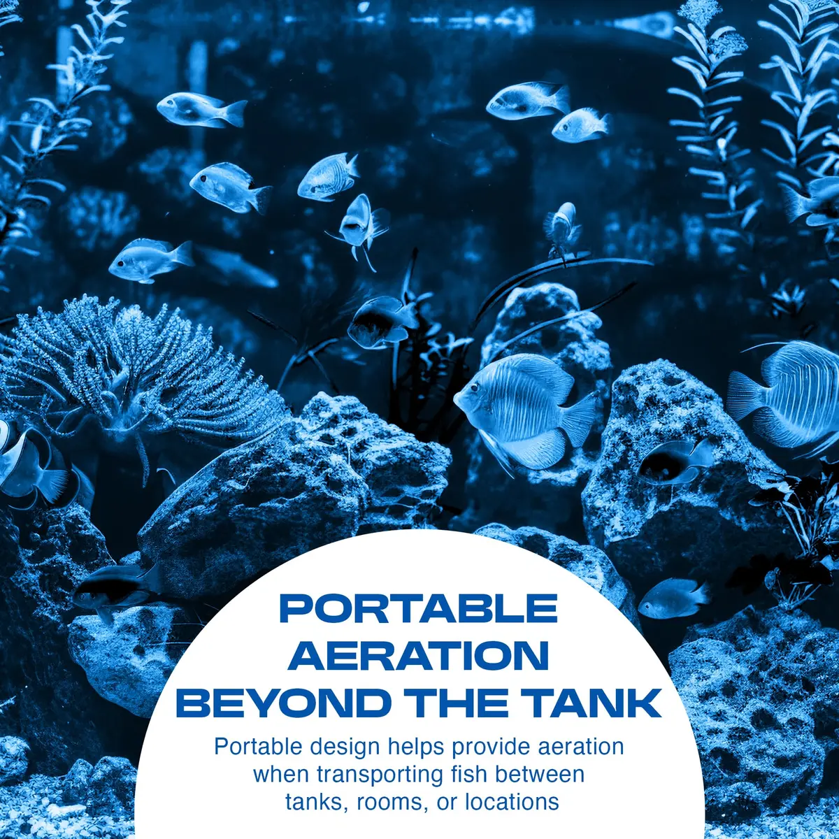 Penn-Plax Silent-Air Aquarium Air Pump with Battery Backup for Fish Tanks up to 29 Gallons | Emergency Power Outage Support (120 chars) - view 3