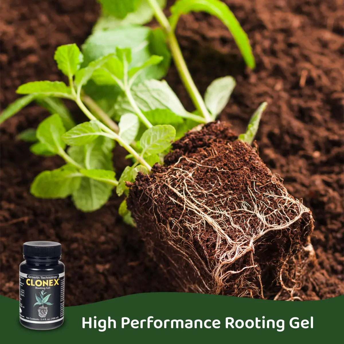 Clonex Rooting Gel 100ml (3.38 Fl Oz) | High-Performance Rooting Compound for Plant Cuttings - view 3