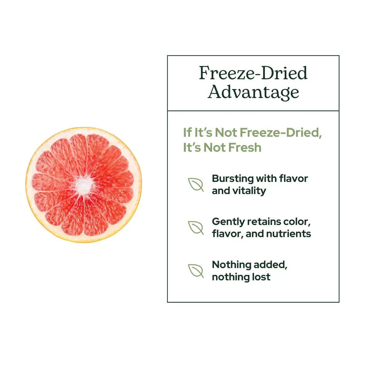 Eclectic Herb Organic Grapefruit Powder Supplement | Nutritional Drink Mix, USDA Organic, Vegan, Non-GMO (90 g | 3.2 oz) - view 5