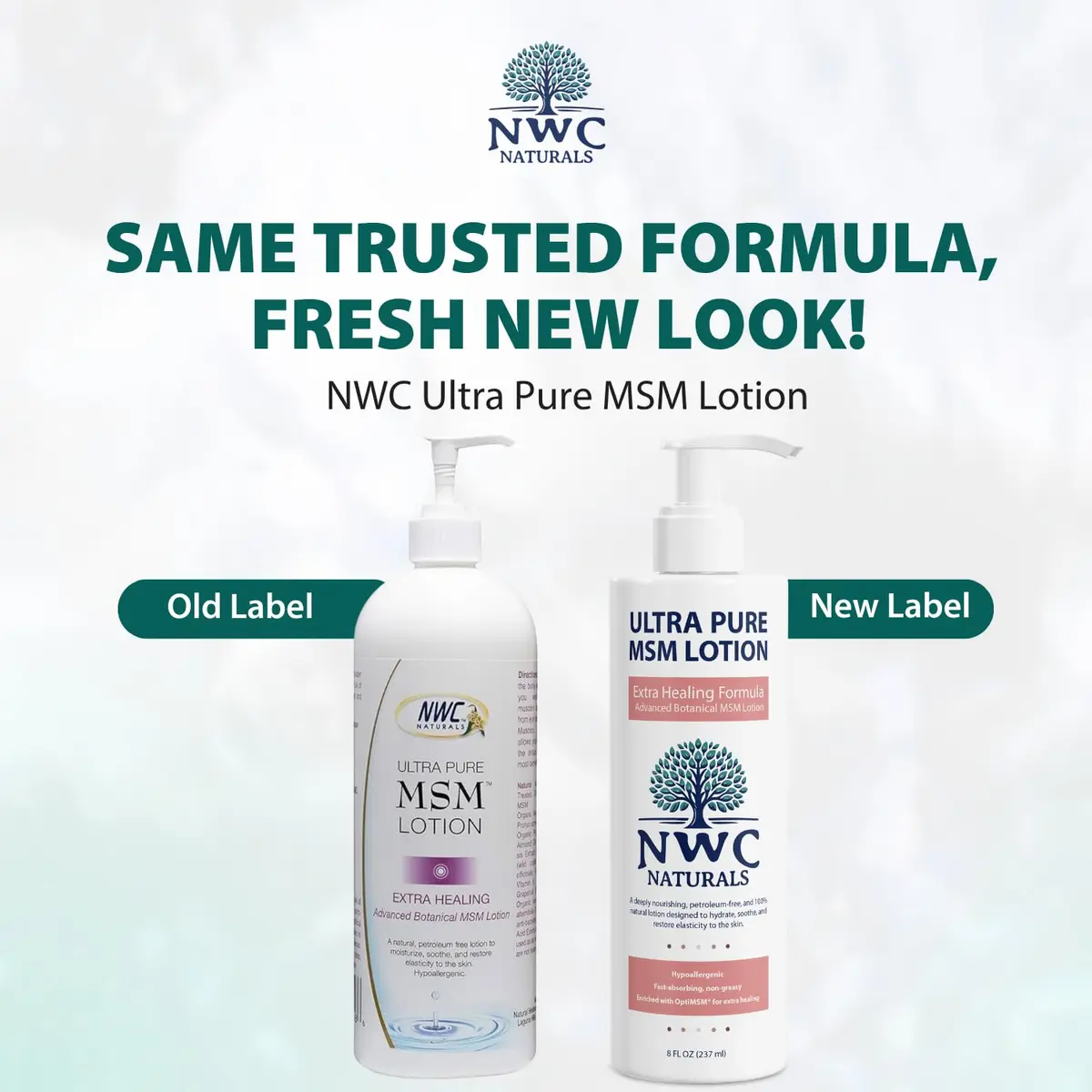 NWC Naturals MSM Body Lotion with Tea Tree Oil and Aloe Vera | Deep Moisturizer for All Skin Types (70-120 chars) - view 2