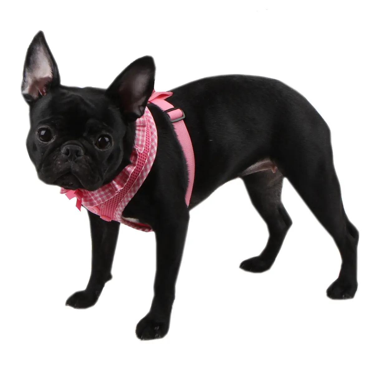 Puppia Vivien Harness Large | Checkered Frills & Adjustable Chest - view 4