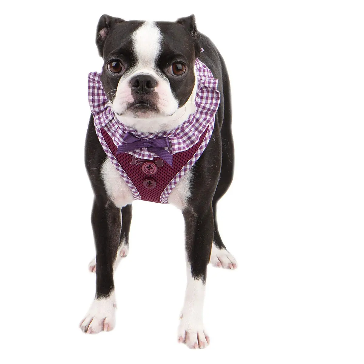 Puppia Vivien Harness Medium | Breathable Checkered Dog Vest with Adjustable Chest - view 4