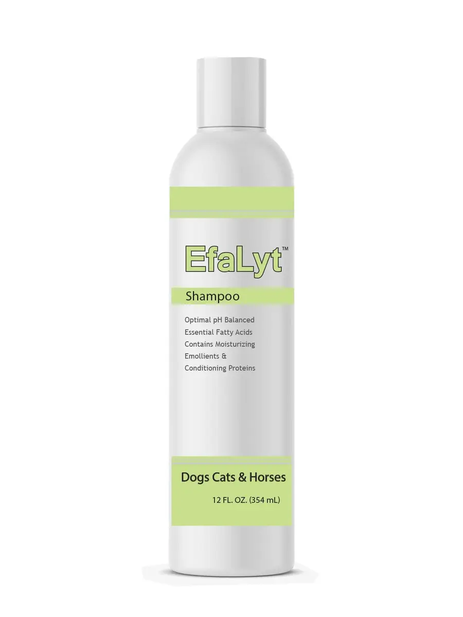 EfaLyt Hypoallergenic Pet Shampoo for Dogs, Cats & Horses | Moisturizing & Gentle, 12 fl oz - main product image