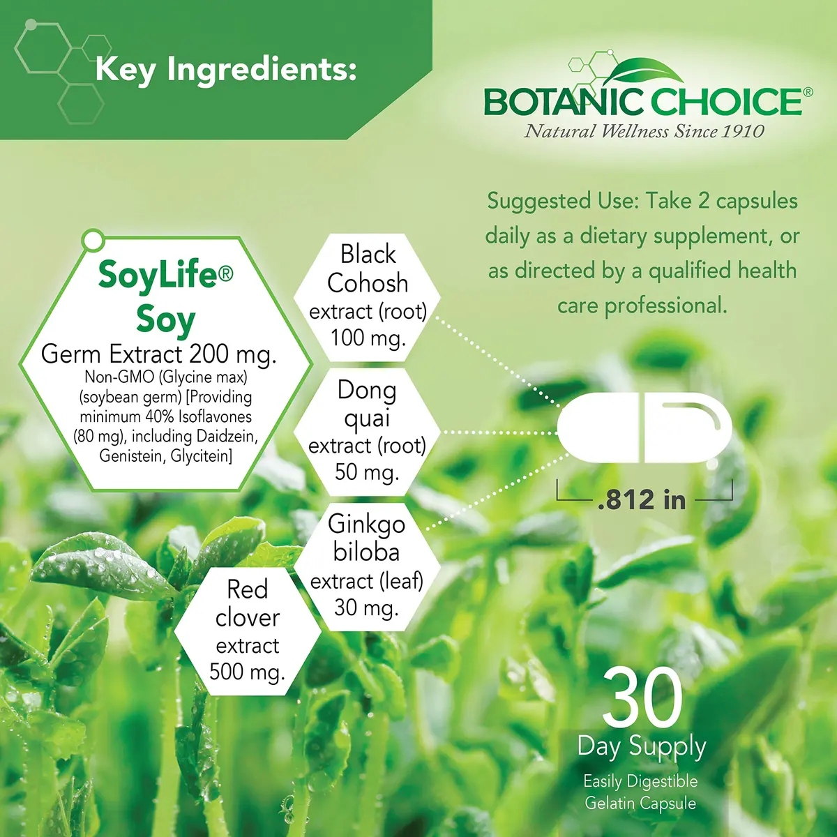 Botanic Choice Menopause Hot Flash Relief Supplement | Herbal Balance for Women, Gluten Free, 60 Capsules - view 3