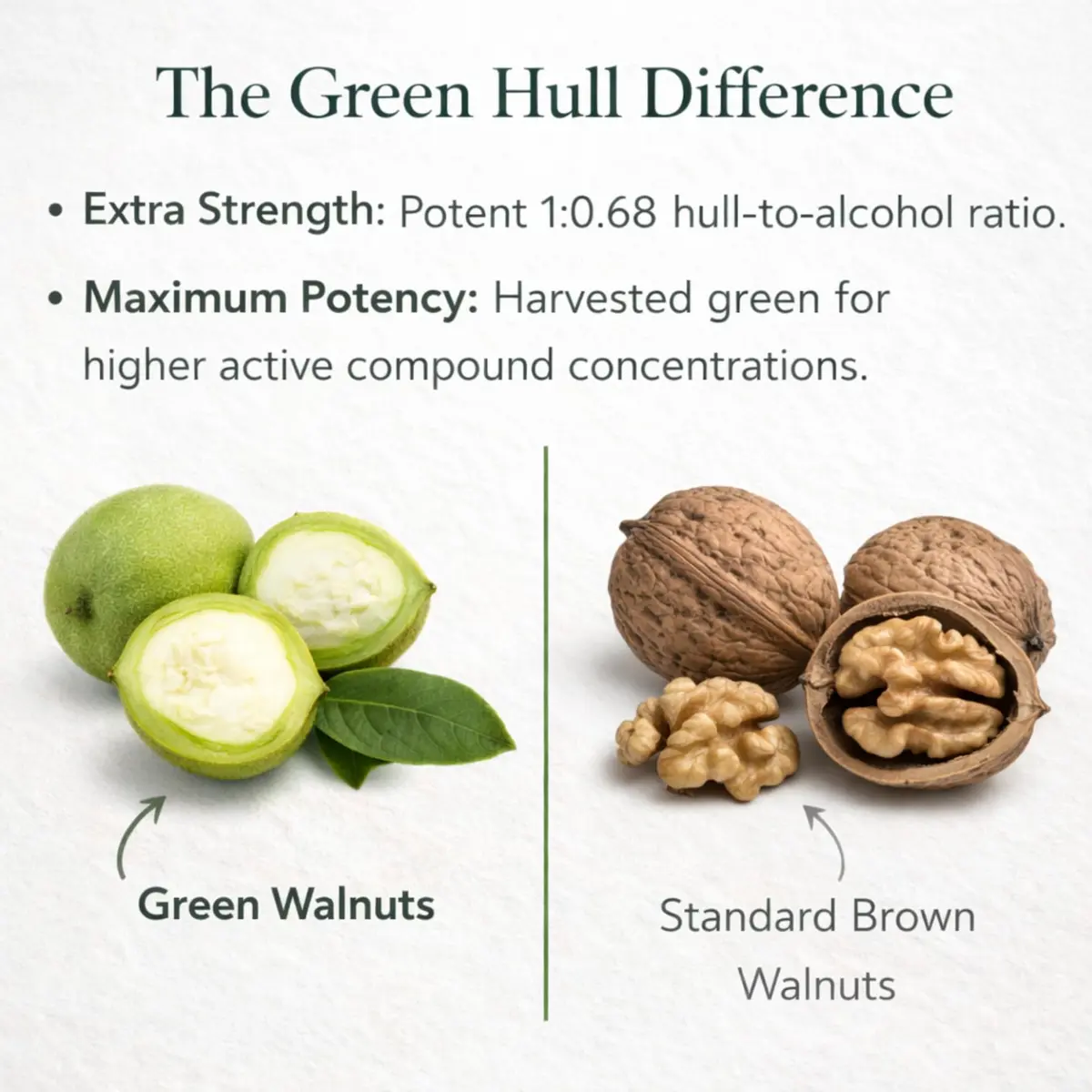 Dr Clark Store Green Black Walnut Hull Tincture Extract 118ml (4 Fl Oz) | Supports Intestinal Microbial Balance - view 5
