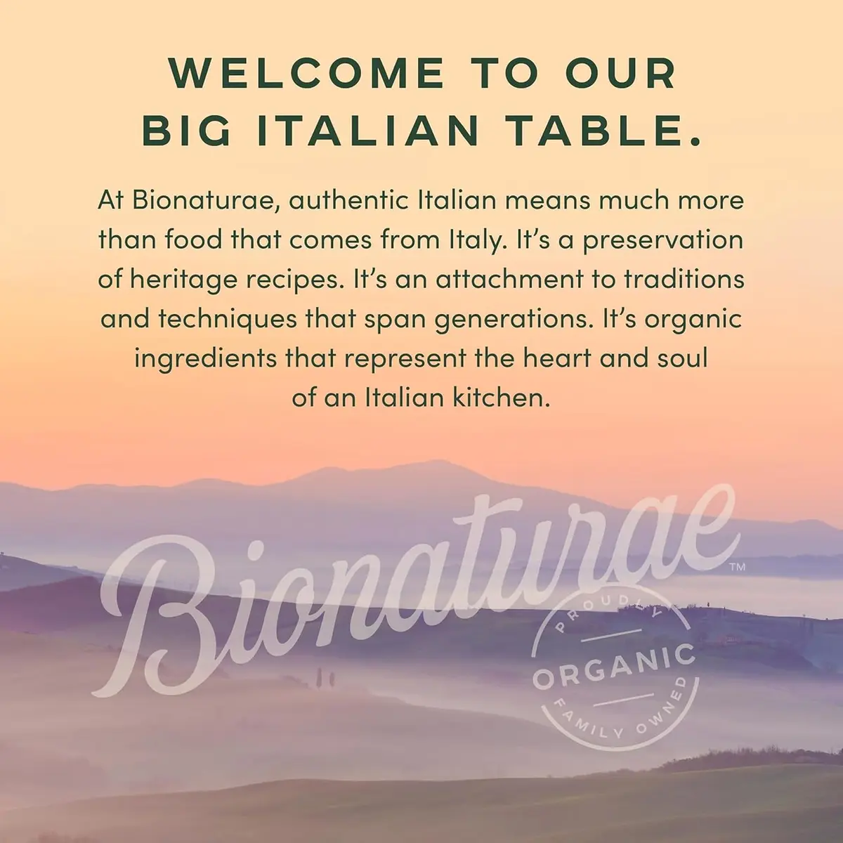 bionaturae Organic Whole Peeled Tomatoes 28.2 Oz | Authentic Italian Organic, Non-GMO, No Added Salt & Sugar - view 8