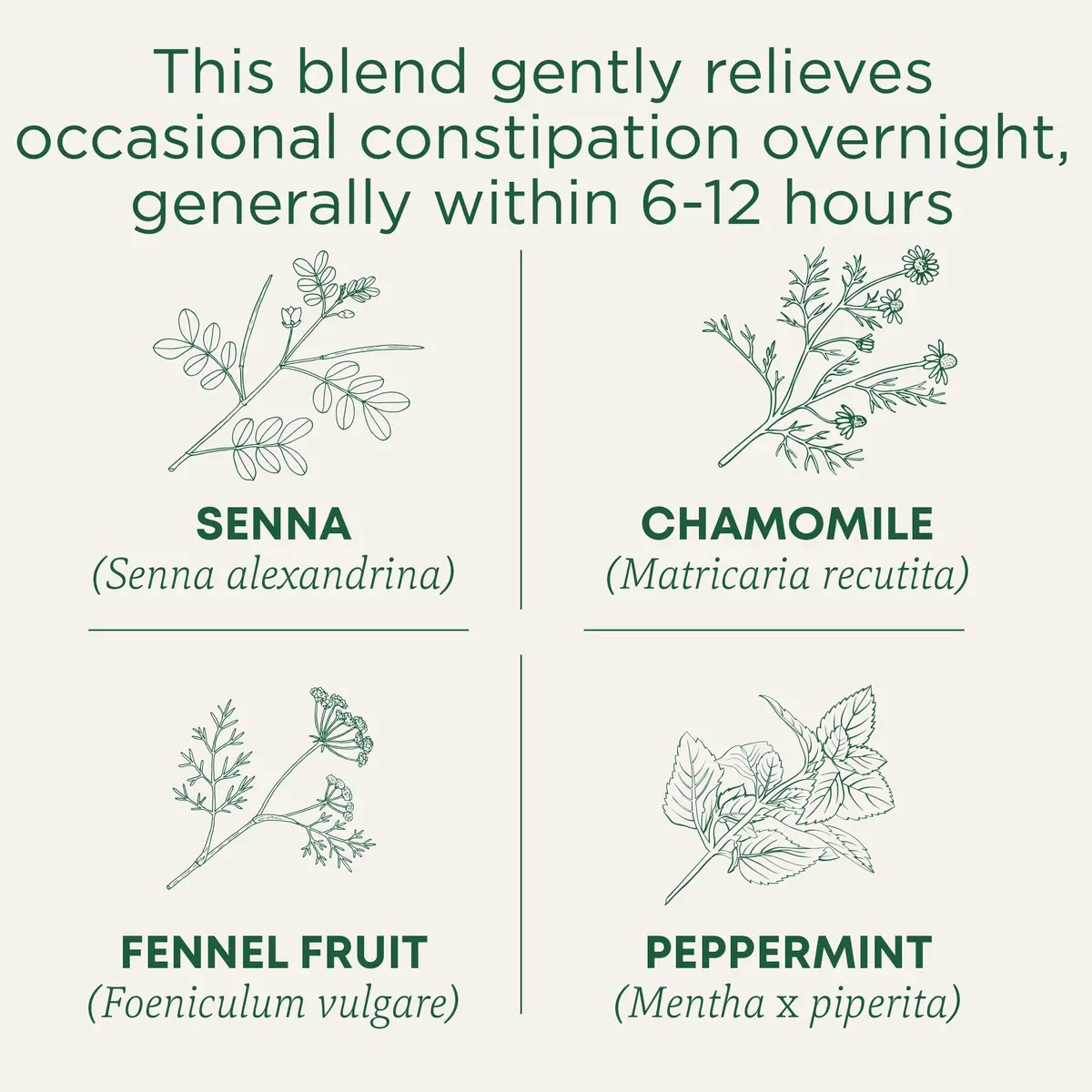 Traditional Medicinals Organic Chamomile Tea 16 Tea Bags | Relieves Occasional Constipation & Relaxation (100-120 chars) - view 2