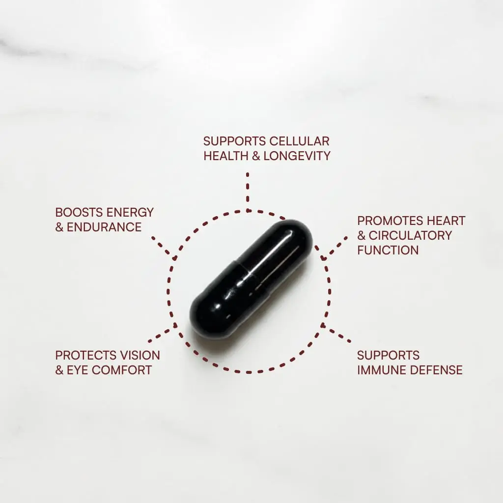 Purity Products AstaFX Astaxanthin Antioxidant Super Formula 60 Capsules | Supports Immune & Heart Health - view 3