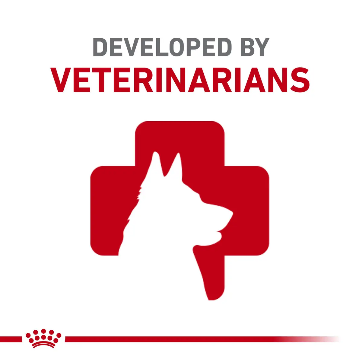 Royal Canin Veterinary Diet Canine Hydrolyzed Protein Adult Dry Dog Food, 17.6 lb Bag | Supports Sensitive Skin & Digestion - view 5
