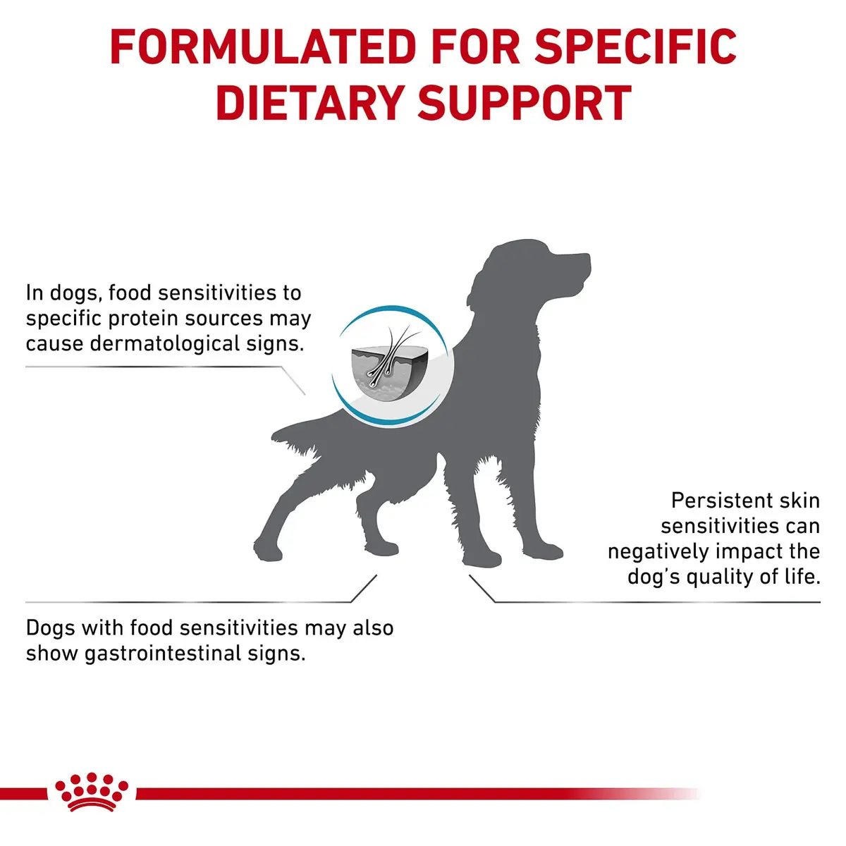 Royal Canin Veterinary Diet Canine Hydrolyzed Protein Adult Dry Dog Food, 17.6 lb Bag | Supports Sensitive Skin & Digestion - view 6