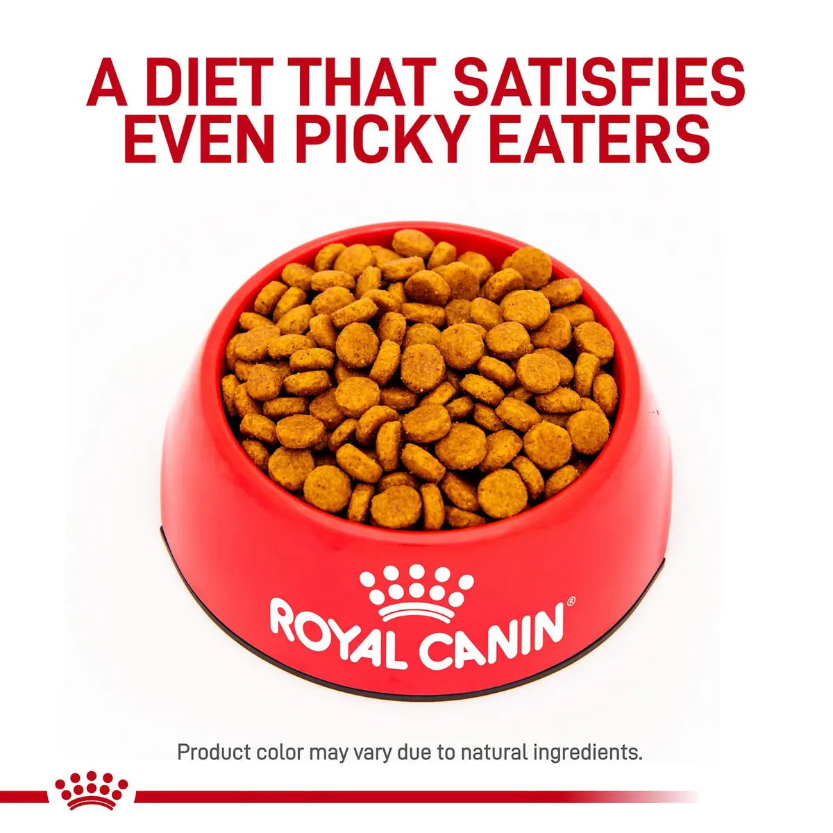 Royal Canin Veterinary Diet Canine Hydrolyzed Protein Adult Dry Dog Food, 17.6 lb Bag | Supports Sensitive Skin & Digestion - view 2