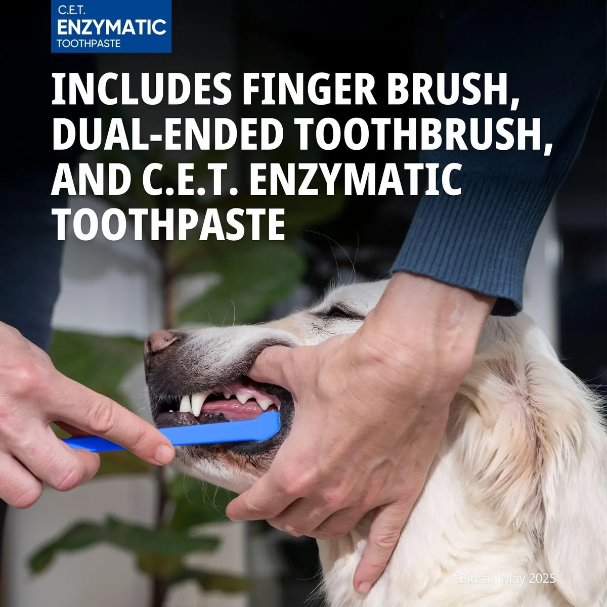 C.E.T. Oral Hygiene Kit for Dogs, Poultry flavor Toothpaste with Toothbrush - view 5