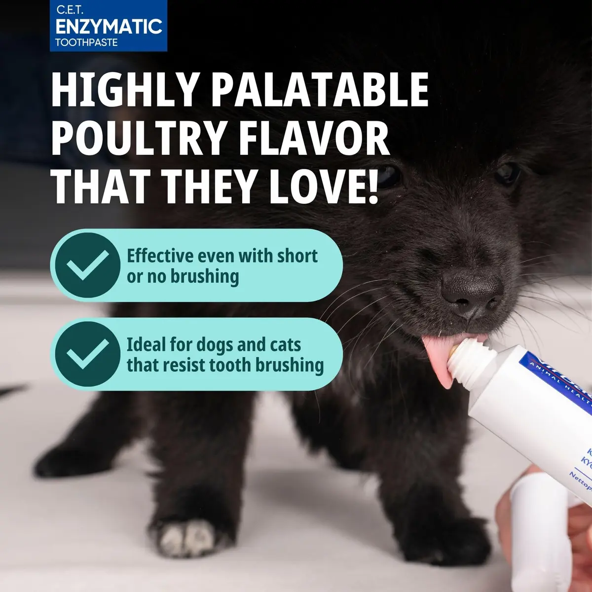 C.E.T. Oral Hygiene Kit for Dogs, Poultry flavor Toothpaste with Toothbrush - view 4