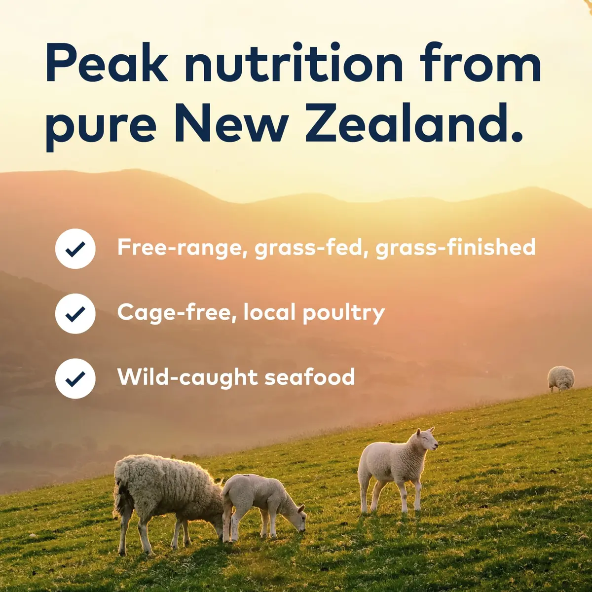 ZIWI Peak Canned Wet Cat Food Venison 92% Meat & Organs | Grain-Free, High Protein, Moisture Rich - view 7