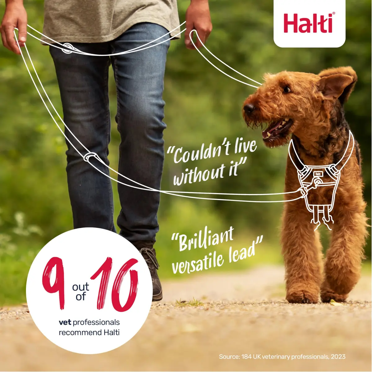 Halti Training Dog Leash | Size L, Red | 2m Length | 7 Versatile Uses for Obedience & Walks - view 6