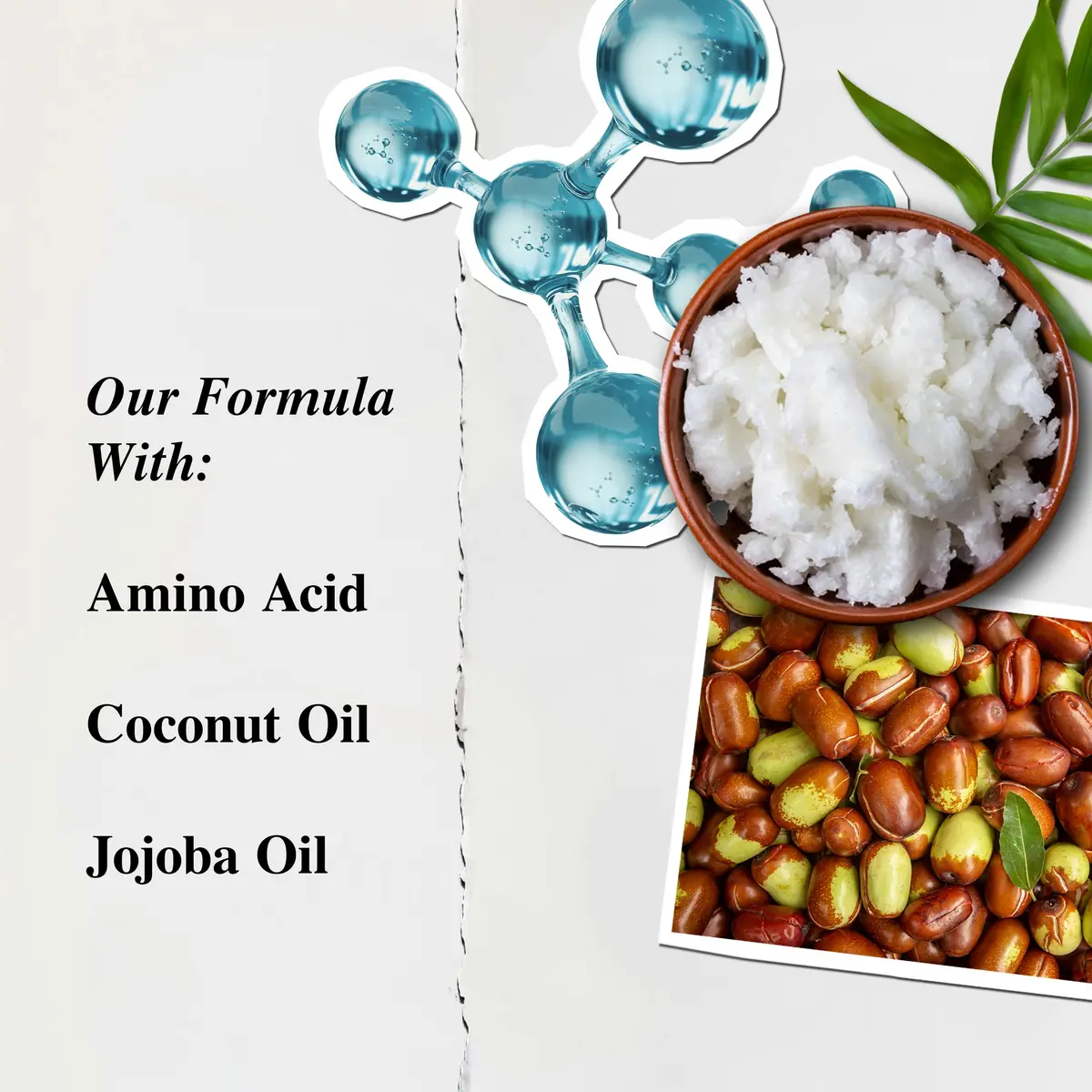 Kiehl's Amino Acid Conditioner 16.9 fl oz | Hydrates & Adds Shine for All Hair Types - view 5