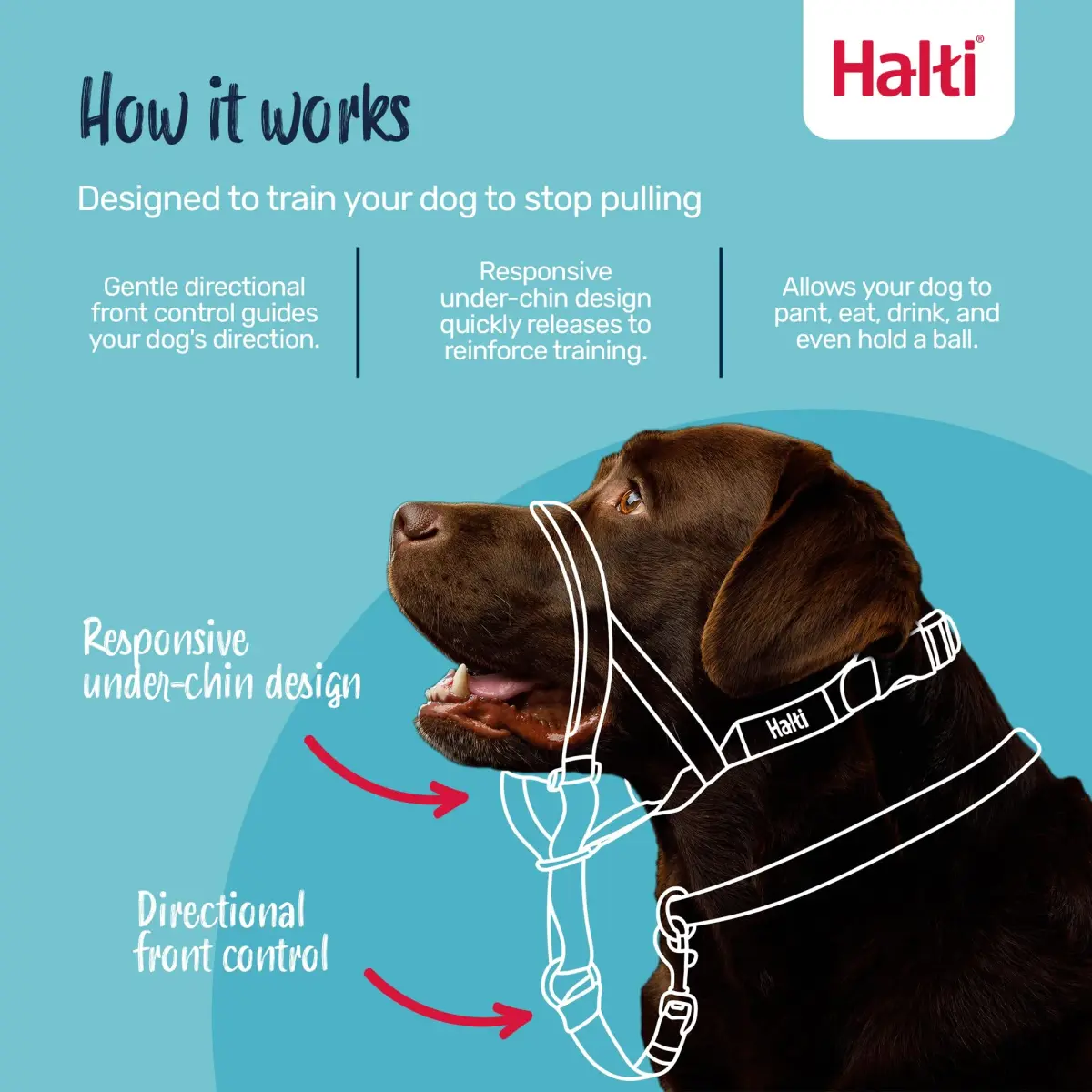 Halti Headcollar Size 1 Black | Gentle No-Pull Dog Training Collar for Small Breeds - view 2