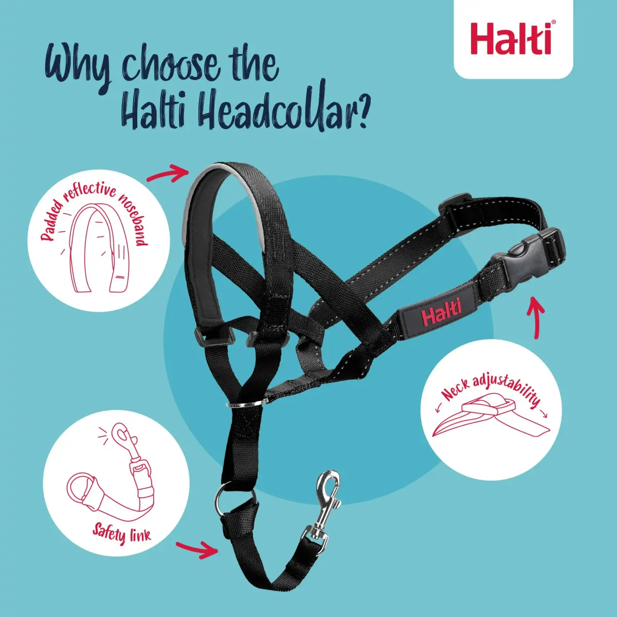 Halti Headcollar Size 1 Black | Gentle No-Pull Dog Training Collar for Small Breeds - view 3