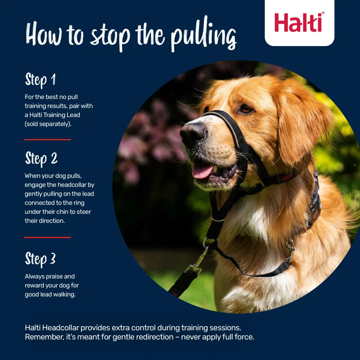 Halti Headcollar Size 3 Black | Gentle No-Pull Training Aid for Medium Dogs - view 4