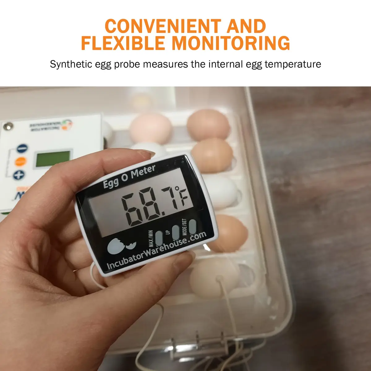 Incubator Warehouse Egg-O-Meter Egg Thermometer with Large LCD, Min/Max Memory, 36-inch Cord, Alarm, Synthetic Egg Probe - view 7