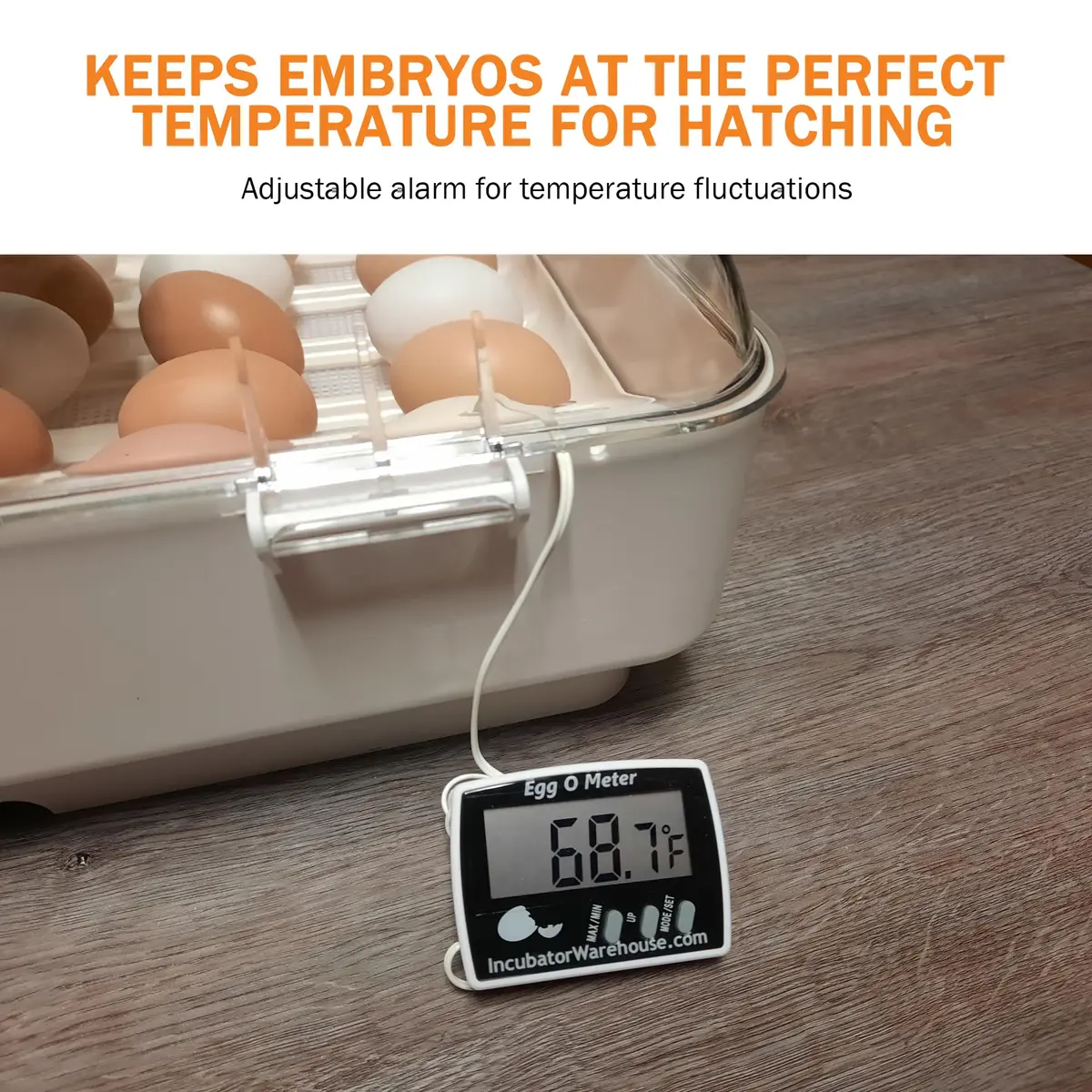Incubator Warehouse Egg-O-Meter Egg Thermometer with Large LCD, Min/Max Memory, 36-inch Cord, Alarm, Synthetic Egg Probe - view 3